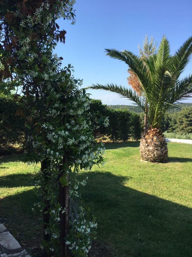 3 Bedroom Villa In Elani Villas Chalkidiki Siviri Exterior photo
